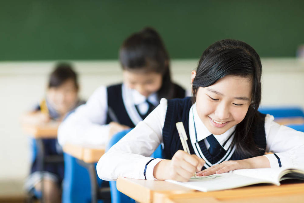 目前电子商务师证报名费多少钱